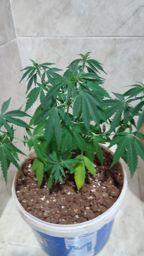 IMG 20230620 224305.jpg