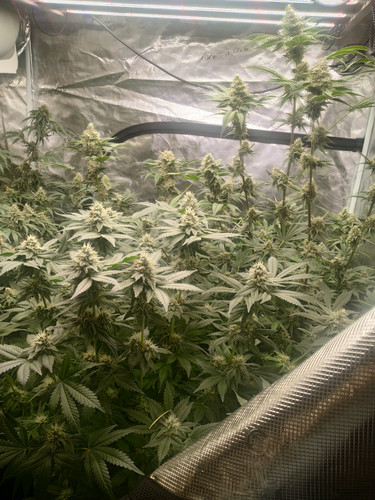 IMG 20230620 010528.jpg