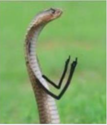 MicrosoftTeams image.png