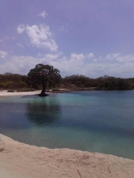 chrome yzCxSlaaTF.jpg