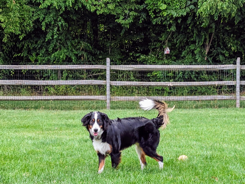 PXL 20230620 213906483~2