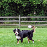 PXL 20230620 213906483~2