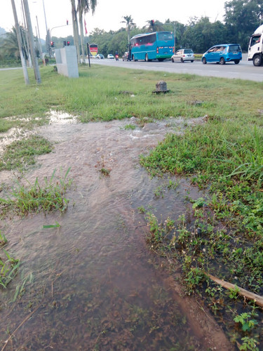 WhatsApp Image 2023 06 21 at 07.29.20.jpg