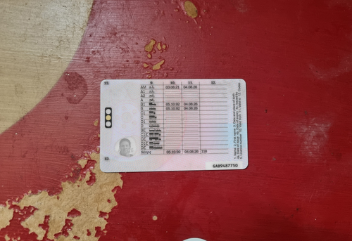 trudy hazle back.png