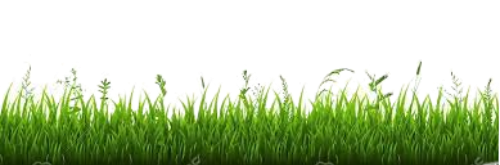 download fotor bg remover 2023062823948.png