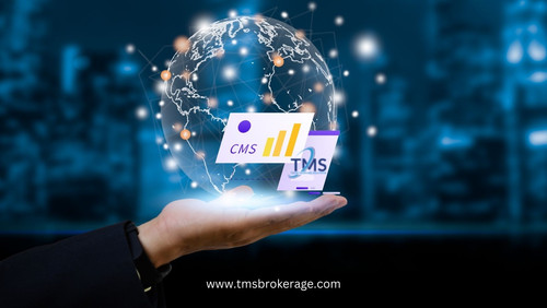 Importance of CMS.jpg