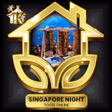 singapore night.gif