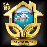 sydney night.gif