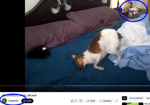 Screenshot 20230620 085843 circle.png