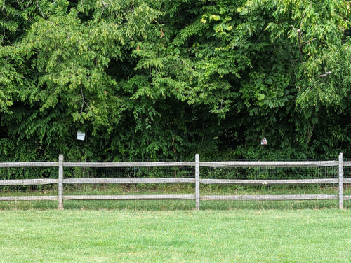 PXL 20230620 152121523.jpg