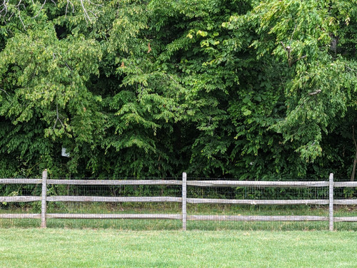 PXL 20230620 151404853.jpg