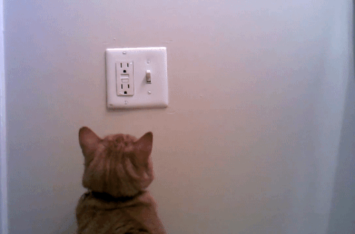 5e086d2374.gif