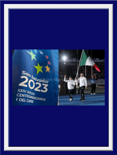 168772163435758828 (2).gif