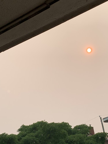 IMG 0084.jpg