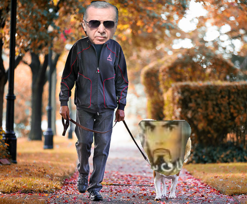 erddttt (1) (2).png