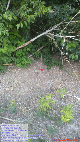 IMG 20230626 215205.jpg