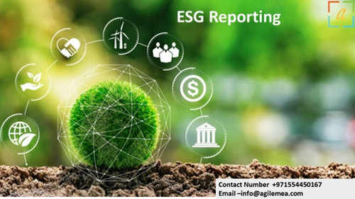 ESG Reporting 11.jpg