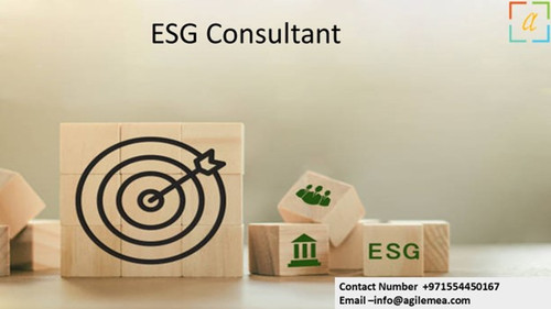 ESG Consultant 19.jpg