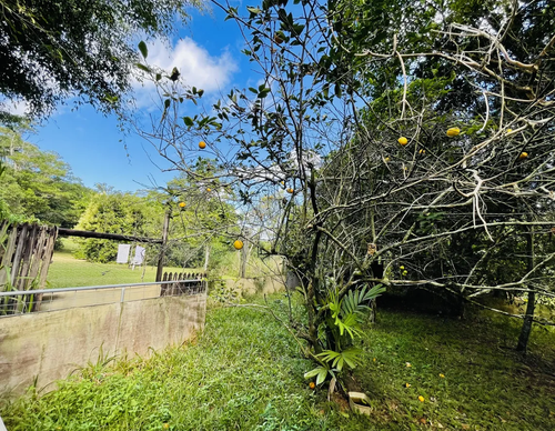 1d53017c710a.png