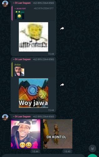 image.jpg