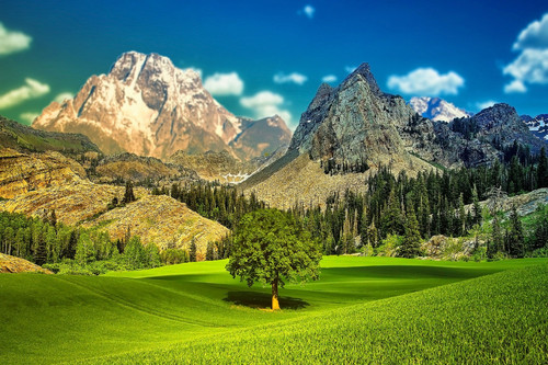 Landscape indah alam sky pegunungan lembah pohon rumput kain Ruang Tamu rumah seni dekorasi kayu bin.jpg