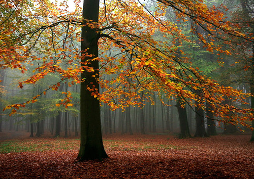 Landscape beautiful nature 23473020 882 625.jpg