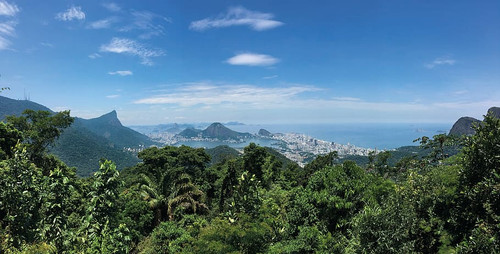 rio landscape selva.jpg