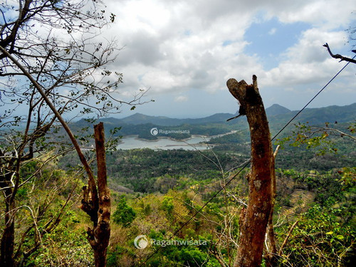 wisata alam kalibiru 0a.jpg