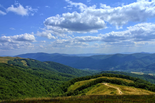 2018 07 30 09 16 52.jpg