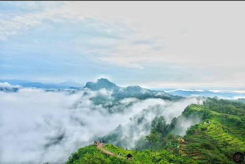 Bukit Langit Kebumen.png