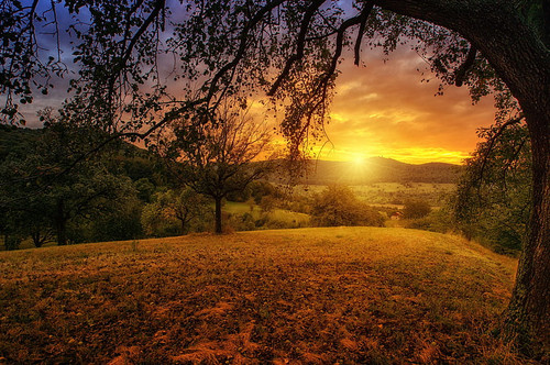 desktop wallpaper 2560x1700 tree sun aesthetic dawn landscape panorama chromebook aesthetic nature l.jpg