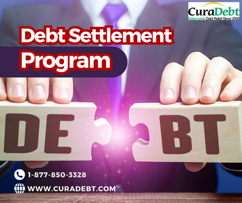Debt Settlement Program.png