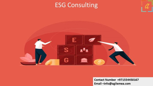 ESG Consulting 10.jpg