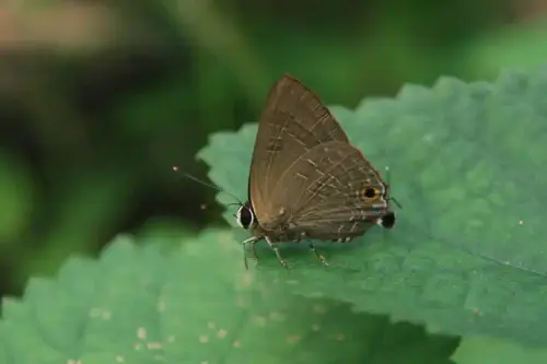 20081025 129 03.webp