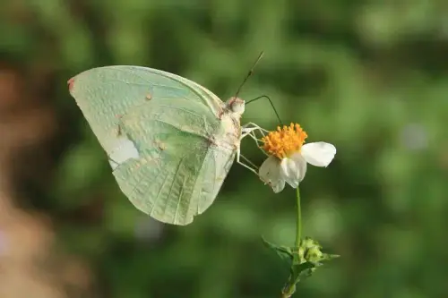 20081025 129 10.webp