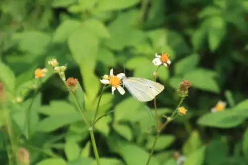 20081025 129 19.webp