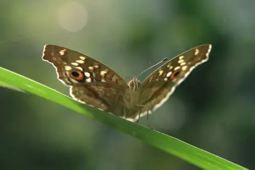 20081025 129 07.webp