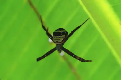 20081025 129 18.webp