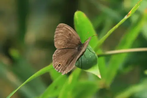 20081025 129 15.webp