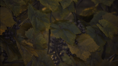 ezgif 1 283f110e78.gif