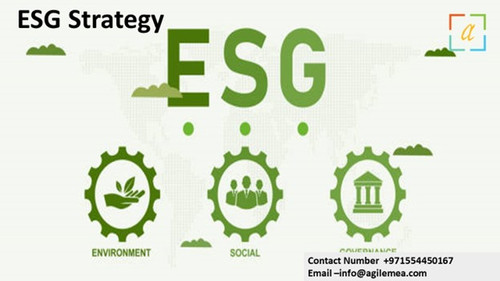 ESG Strategy 5.jpg