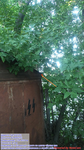 IMG 20230624 224008.jpg