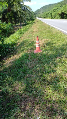 bukit rokan.jpg