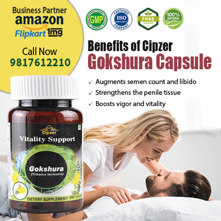 Gokshura Capsule.jpg
