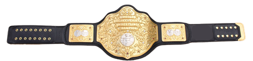  044 WorldChampBelt 04 (1).png
