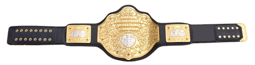  044 WorldChampBelt 04 (2).png