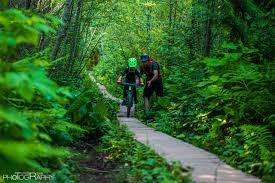 Beginner Mountain Biking Squamish.jpg