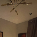 frischy2024 crop.png