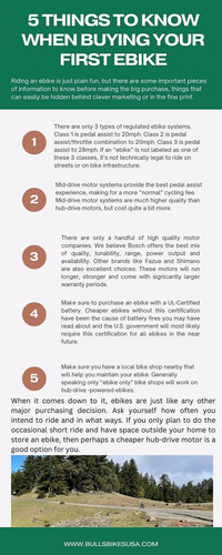 5 THINGS TO KNOW WHEN BUYING YOUR FIRST EBIKE.jpg