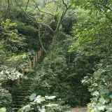 20080621 018 調整大小